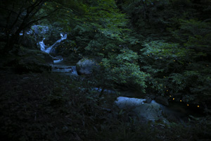 himebotaru-18